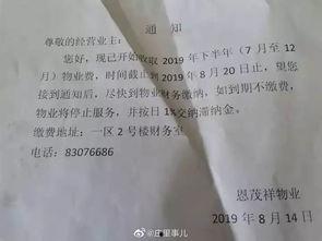 石家庄物业最新爆料信息,揭秘小区管理背后的真相